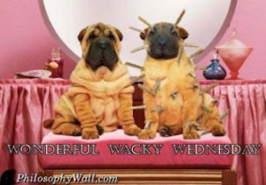 Wonderful Wacky Wednesday -