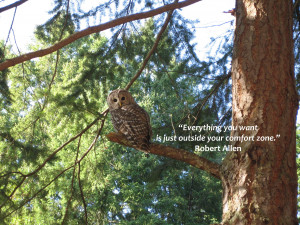 Free* Wallpaper – Wise Owl and Quote!