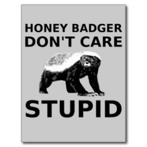 Honey Badger Don't Care STUPID Postcard