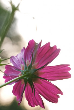 Sometimes looking at things from a different angle helps.