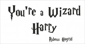 ... wizard all the fun of stencils without the mess you re a wizard harry