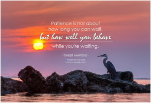 ... , but how well you behave while you’re waiting.” ~ Timber Hawkeye