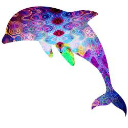 dolphinpng_greeting_cards.jpg?height=250&width=250&padToSquare=true
