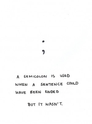 Semicolon story
