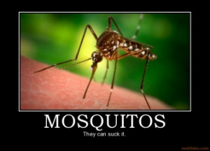 mosquitos-mosquito-hate-irony-demotivational-poster-1274093625.jpg