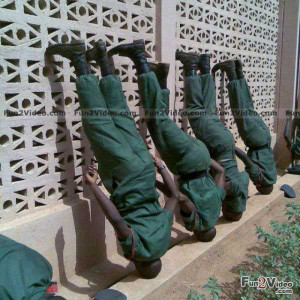 : funny soldier sayings,funny mentos,funny narwhal pics,funny ...