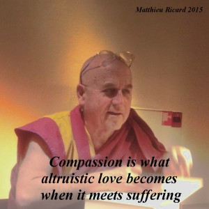 Matthieu-ricard-netty-quote-4