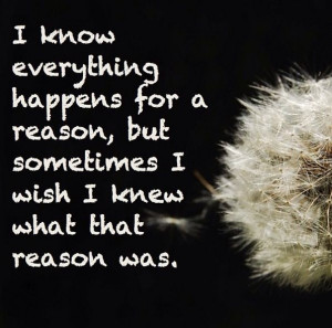 Everything happens for a reason