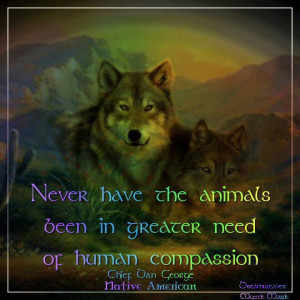 native american quotes about wolves | Visit facebook.com
