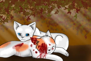 Brightheart_and_Cloudtail_by_SilverToraGe *pretend cloudtail is ...
