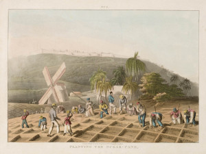 the wrong impression of conditions on Caribbean plantations. Slaves ...