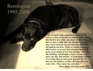 Emptiness Quotes A collector of quotes,