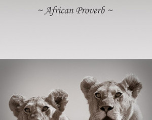 ... quote wildlife photo african photography wall art animal quote lion