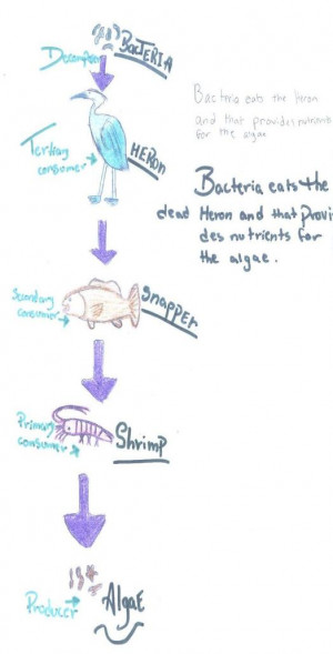 Funny Quotes Contact Dmca...