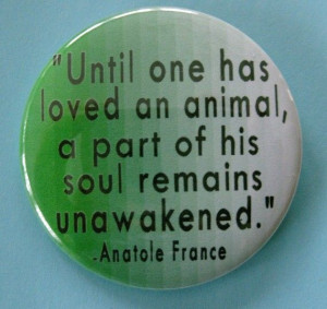 anatole france animal quote badge or magnet by thedogcoatlady, $1.00