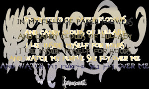 Imaginary - Evanescence Song Lyric Quote in Text Image