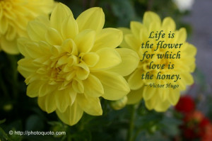 famous sayings flowers