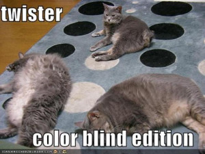 Another good compilation of photos and gif's of the funniest cats on ...