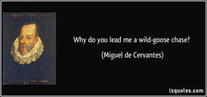 Why do you lead me a wild-goose chase? - Miguel de Cervantes