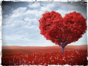 Um canto no coração