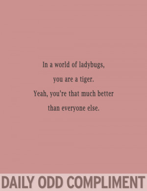 Daily Odd Compliment