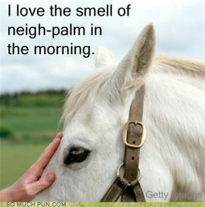 love the smell of neigh-palm in the morning.