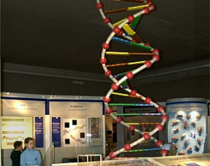 Related Pictures natur menschen funny oldies tiere comic schule muster ...