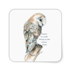 Too many Owls Fun Quote Barn Owl Art Stickers