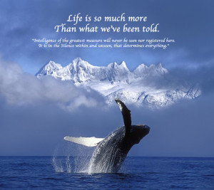 Quotes About Whales