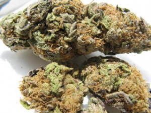 To help improve the quality of the lyrics, visit G-Eazy (Ft. Devon ...