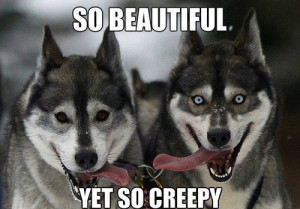 funny-pictures-beautiful-and creepy