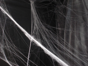 Cobweb Texture Png Cobwebs by digitalcircus-stock