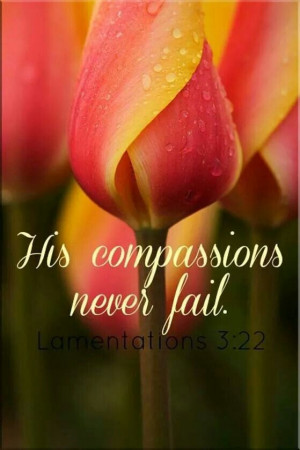 His Compassion Never Fails