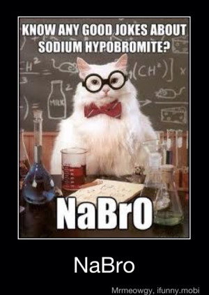 Chemistry Jokes Cat Tumblr