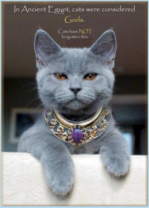 ancient-egypt-cats-were-considered-gods