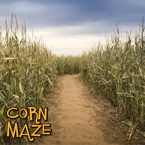 Reminisce - 12 x 12 Paper - Corn Maze