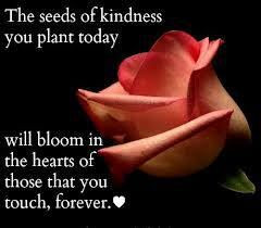 The seeds of kindness you plant today will bloom in the hearts of ...