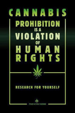 Cannabis prohibition is a violation of human rights