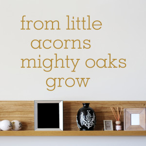From Little Acorns Mighty Oaks Grow