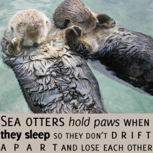 ... hold paws when they sleep so they don't drift away from each other