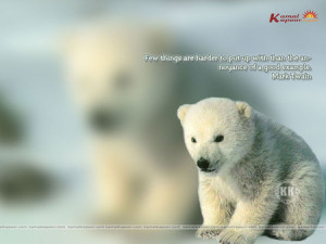 ... - knut, artic, quote, tundra, examople, mark twain, life, polar bear