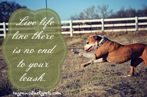 Happy Wednesday Quotes Dogs Dog quote. happy (mostly)