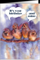 it’s your birthday (and mine), mutual birthday, singing sparrows ...