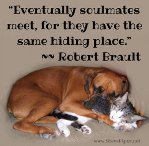 Eventually soul mates meet, for they have the same hiding place ...