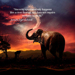 Comments Off on elephant sunset splash pamela quote