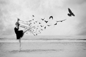 , beauty, birds, black, black & white, black and white, cool, dance ...