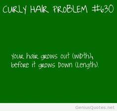 curly hair problem funny quotes more curly hair problems curly girls ...