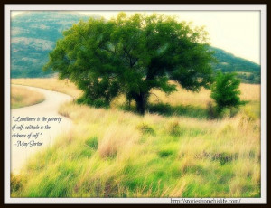 Picture of mountain scene with tree. Quotation from May Sarton ...