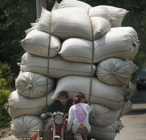Funny Logistics in China (10 pictures)