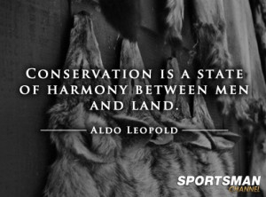 Conservation Quote from Aldo Leopold